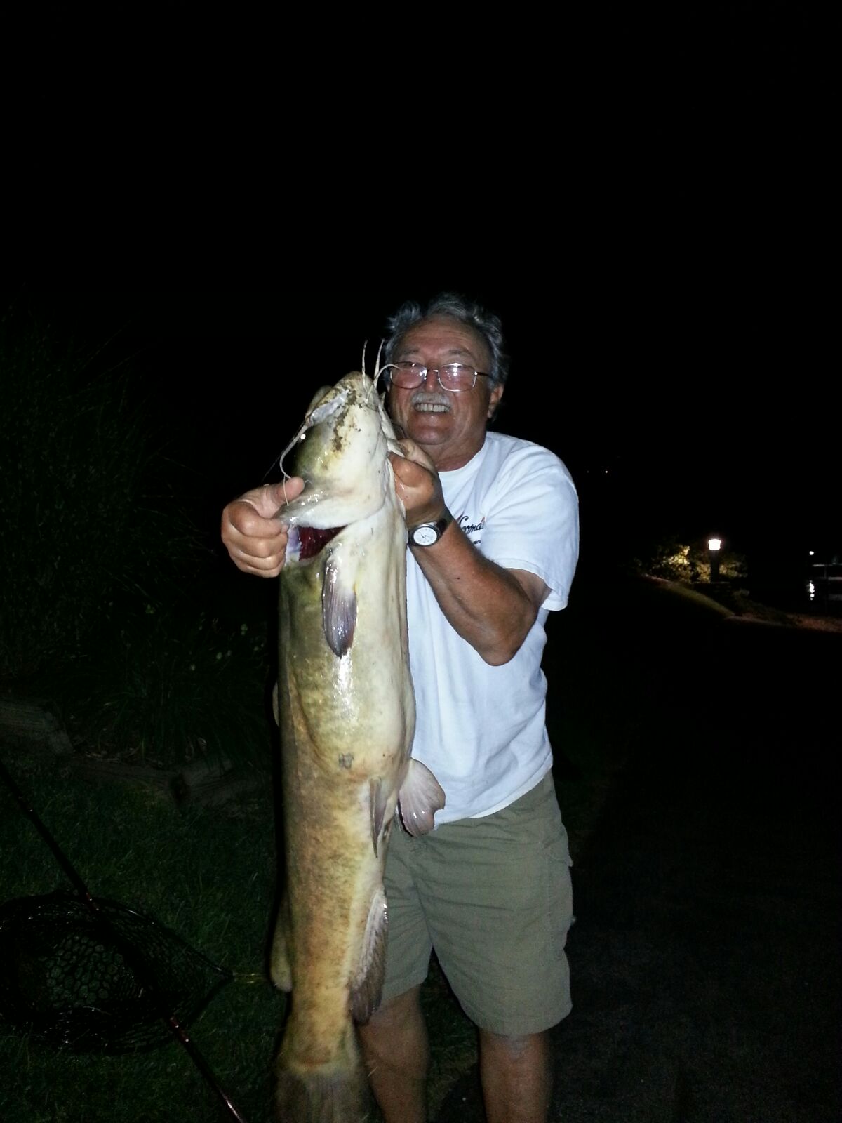 jdangoia_catfish.jpg